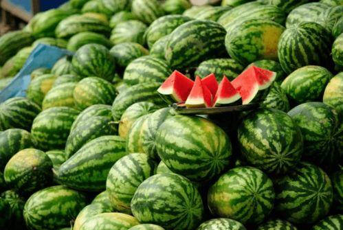 吃日本瓜的网红叫什么,揭秘“吃日本瓜”网红的爆红之路 第1张 吃日本瓜的网红叫什么,揭秘“吃日本瓜”网红的爆红之路 第1张